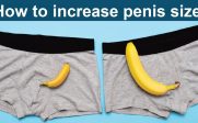 Increase_penis_size