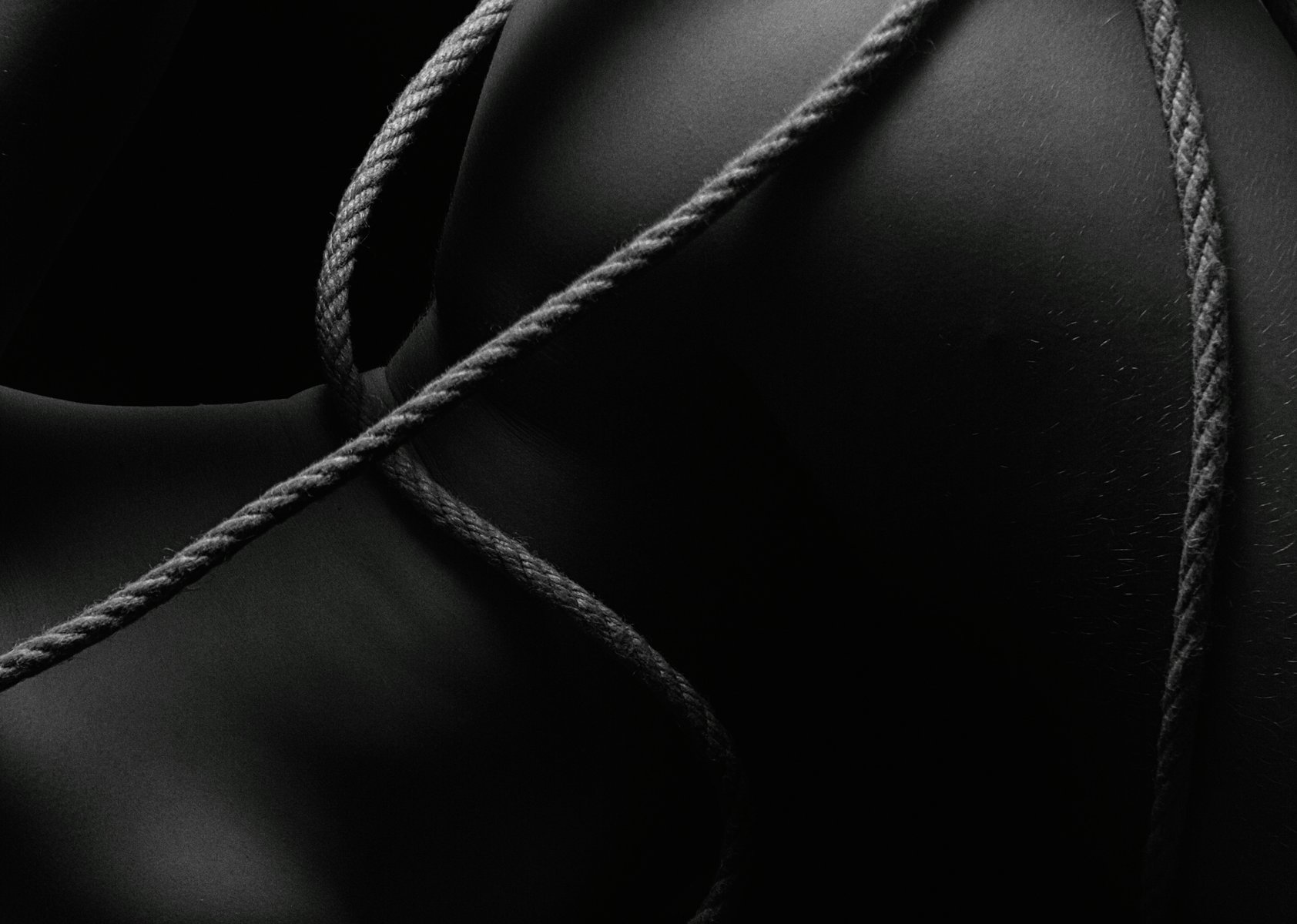 Shibari For Beginners: The Japanese Art Of Rope That Builds Trust And Desire Illustration
